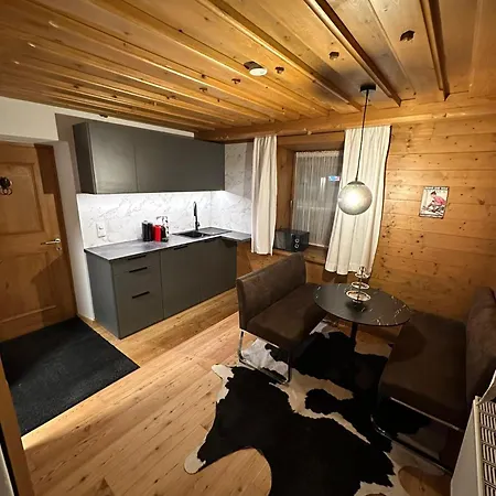 Kitzbuehel City Appartement 公寓
