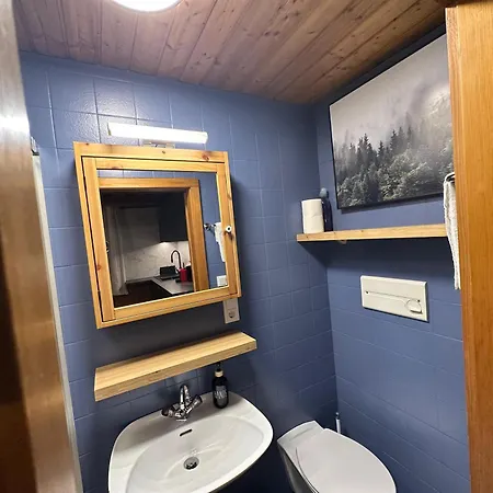 Kitzbuehel City Appartement Daire