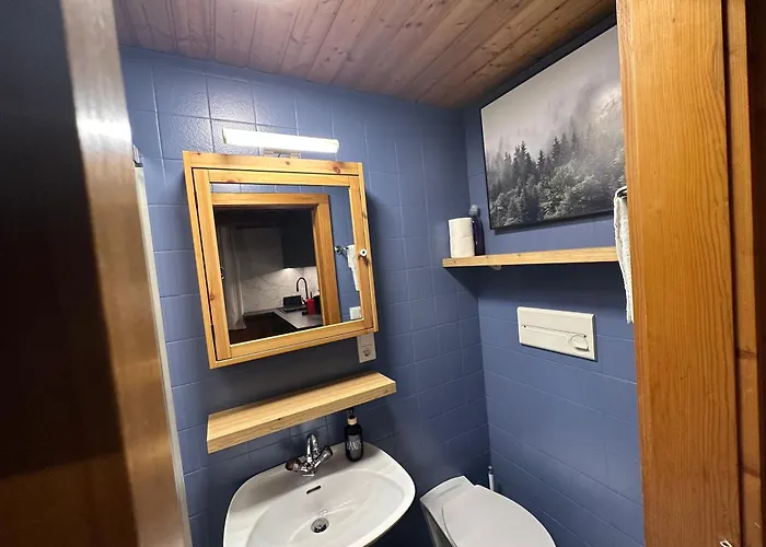 Kitzbuehel City Appartement Daire